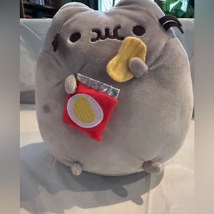 Pusheen with Chips Plush